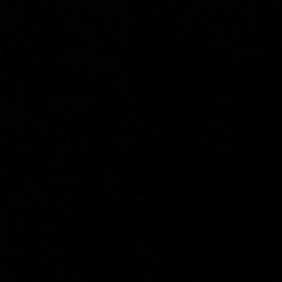 St John Shell - Picture 4 of 7